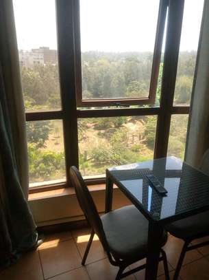 Fully Furnished Studio Apartment with Appliances image 7