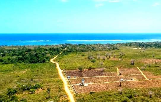 5,000 m² Land at Diani Beach Road image 7