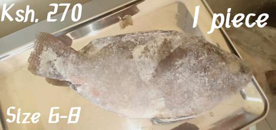 Tilapia fish - fresh, frozen & fried image 4