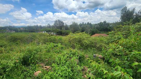 0.2 ha Commercial Land at Merisho Road image 6