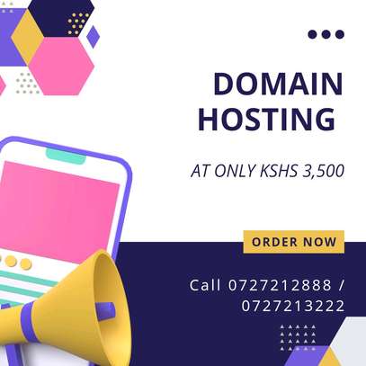 Domain hosting Services image 1