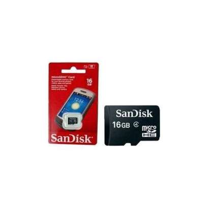 SanDisk 16GB microSDHC Memory Card image 1