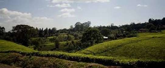 20 ac Land at Riara Ridge image 5