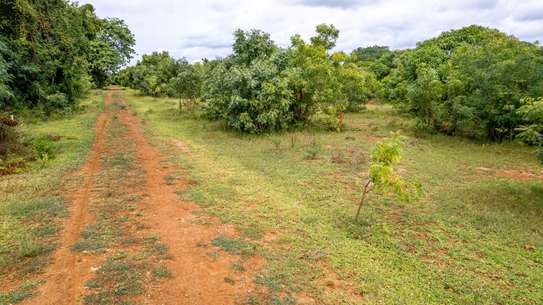 Residential Land in Vipingo image 12