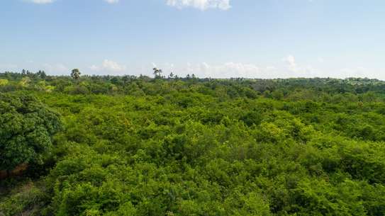 0.25 ac Residential Land at Diani Beach Road image 25
