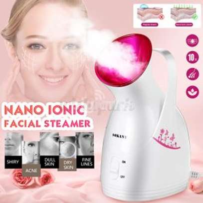 Electric Portable Beauty Nano Ionic Humidify Facial Steamer image 1