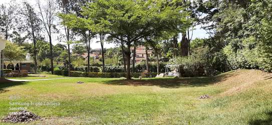 Commercial Property with Parking in Lavington image 7