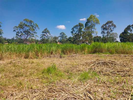 0.5 ac Land in Ridgeways image 6