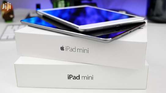 New Apple iPad mini Wi-Fi 64 GB Gray image 1