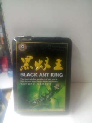 Black ant king image 1