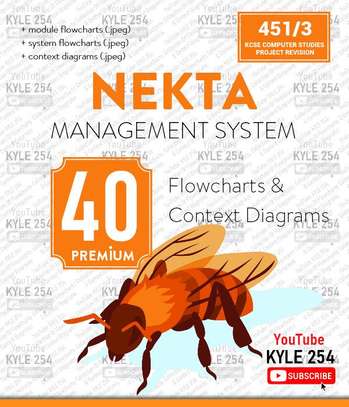 Nekta Management System Flowcharts and Context Diagrams image 1
