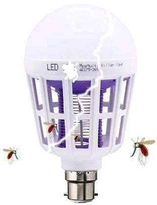 Mosquito Bulb image 1