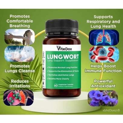ViteDox Lungwort Supplement Capsules Capsules In Nairobi image 1