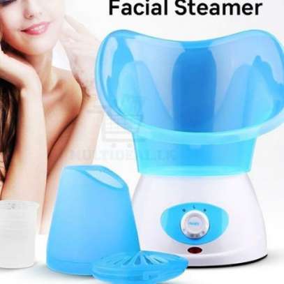 Benice Facial Steamer 3 In 1 Steam Inhaler Vaporizer Clear Breath image 1