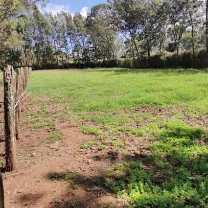 0.38 ac Commercial Land at Acre Ithano image 2