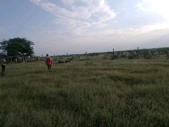 3 (50 by 100)  fertile land plots in Kamulu image 3