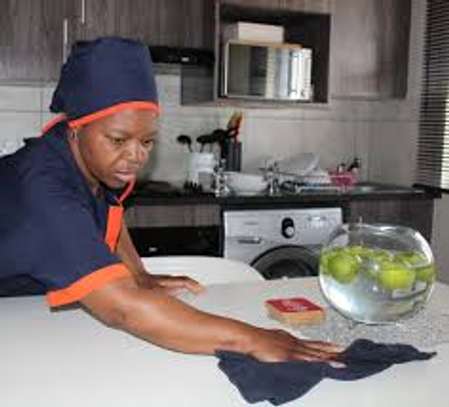 Domestic Workers in Nairobi-Cleaning & Domestic Services image 8