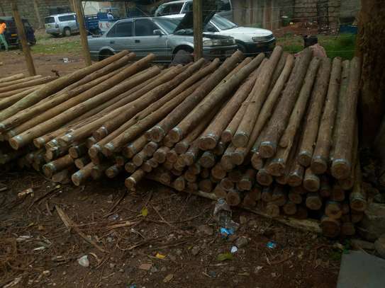 Well treated fencing posts - 9ft,8ft image 1