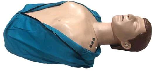 FIRST AID TRAINING DUMMY FOR SALE PRICES IN NAIROBI,KENYA image 1