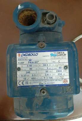 Pedrollo water pump image 2