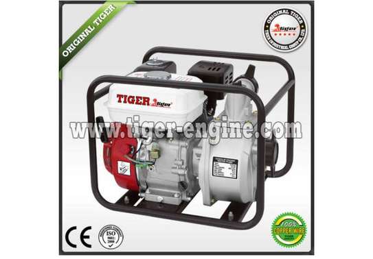 Tiger 2 Stroke Engine Generator. image 1