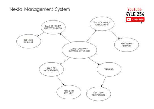 Nekta Management System Flowcharts and Context Diagrams image 3