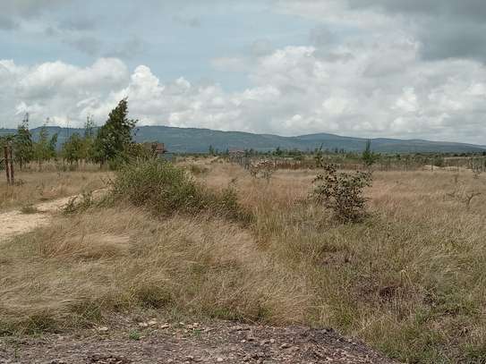 LAND image 2