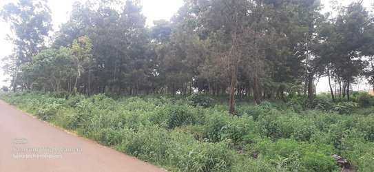 Land in Redhill image 29