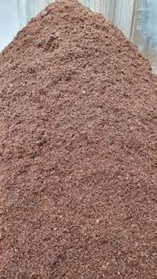 Wood shavings(maranda) image 3