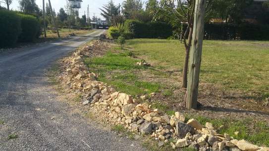 Residential Land at Community Road image 5