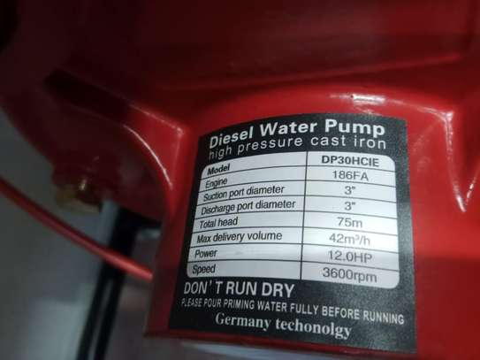 Girasol 12Hp 75m Deisel Water Pump image 2