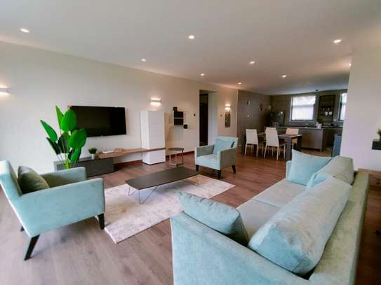 Furnished 2 Bed Apartment with En Suite in Kitisuru image 16