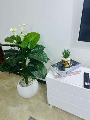 Serviced 2 Bed Apartment with En Suite in Dennis Pritt image 8