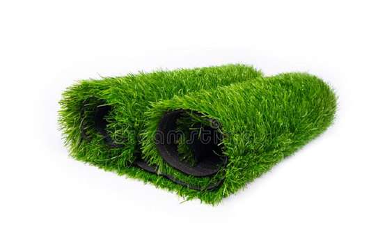 Lawn grass carpet image 1