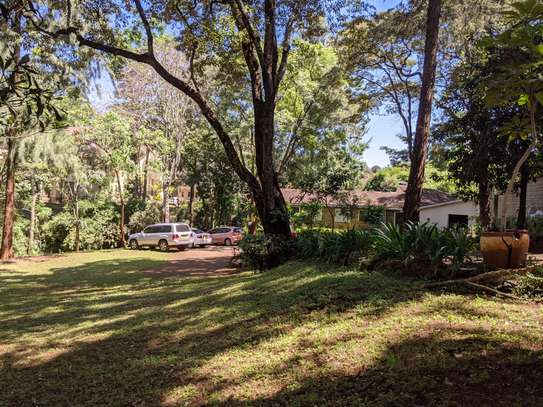 Residential Land at Peponi Rd image 11
