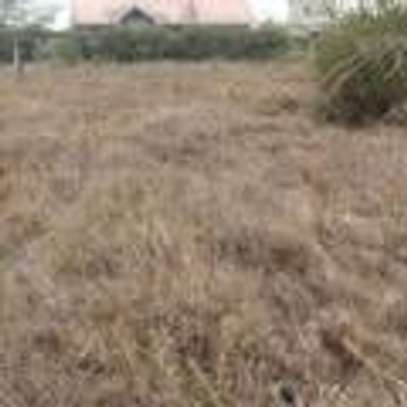 land for sale in Namanga image 6