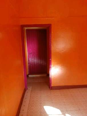 Residential houses with Stone Arches & Garden image 6