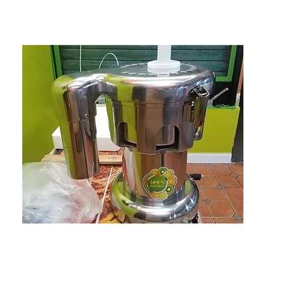 Electric Commercial Juicer Fruit Machine & Vegetable Juice Extractor image 1