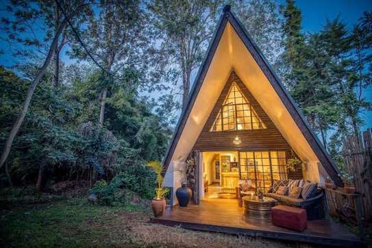 A-Frame wooden villa construction image 4