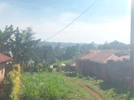 Spacious Rural Land Plot for Farming & Home image 5