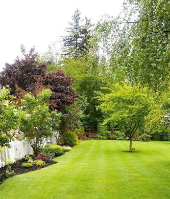 Landscaping services image 3