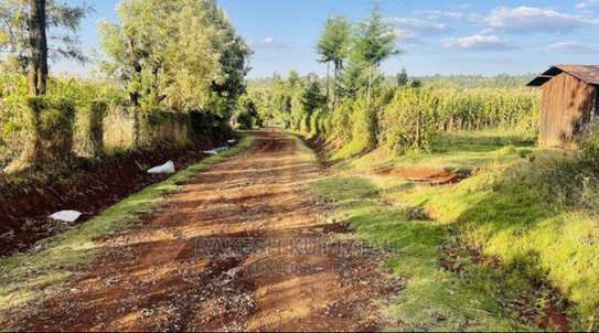 Land in timau for sales image 2