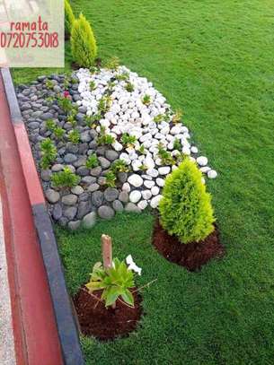 Yard and space landscaping for home and office image 3