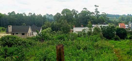 Prime Residential plot for sale in kikuyu, ondiri image 1