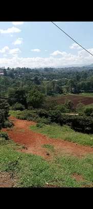 Plot for sale in Nyeri town Kangemi area image 3