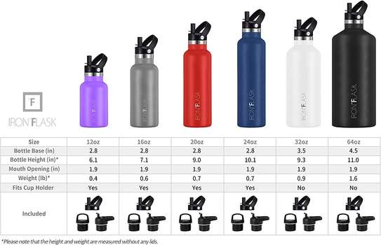 Stainless Steel Water Bottle with Straw & Spout Lids image 2