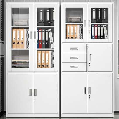 Office Cabinet : 2- Door Office Storage Cabinet image 4
