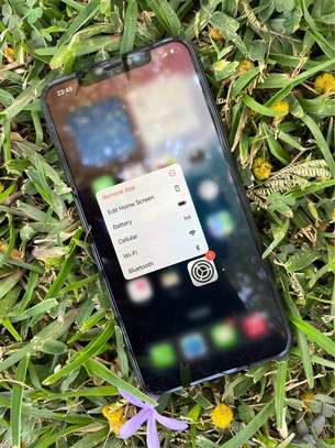 iPhone 11 Pro Max 512gb image 1