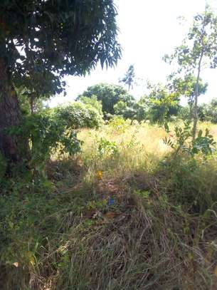10 Acres Available For Sale in Malindi image 3