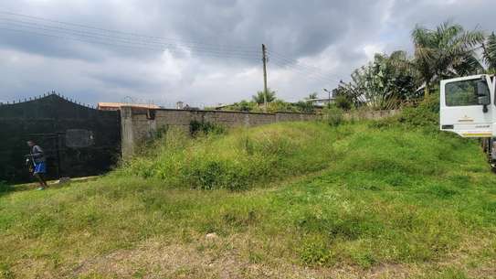 Commercial Property in Thindigua image 4